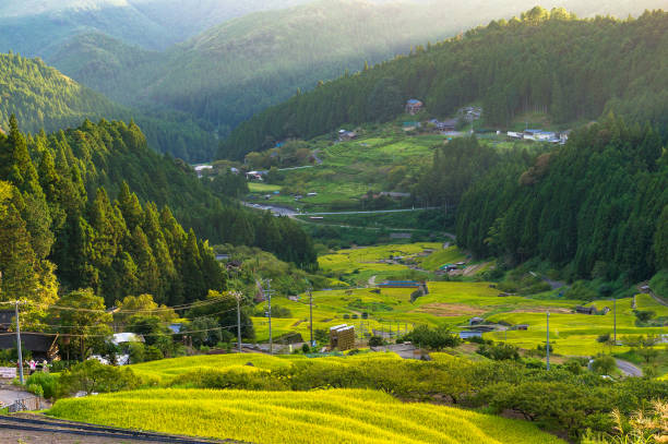 istock Rice paddy terraces on sunset. Yotsuya, Aichi prefecture, Japan 640046690