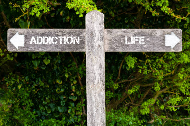 istock Addiction versus Life directional signs 640048486