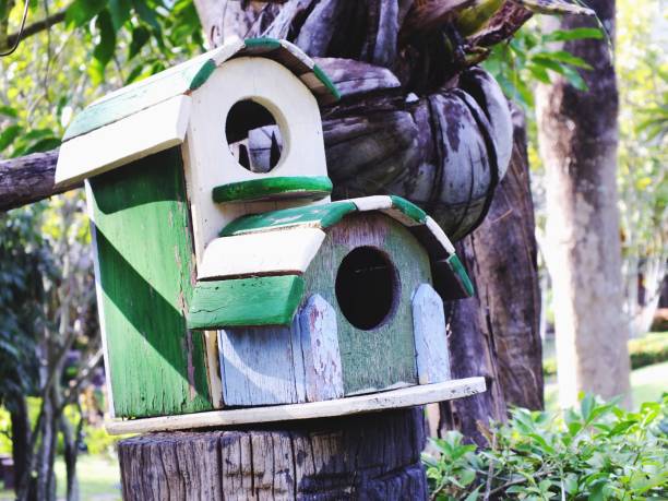 istock bird house with natural green leaves background 640056794