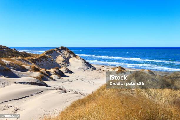 Dunes At The Northern Sea Near Skagen Denmark Stock Photo - Download Image Now - Skagen, Denmark, Sand Dune