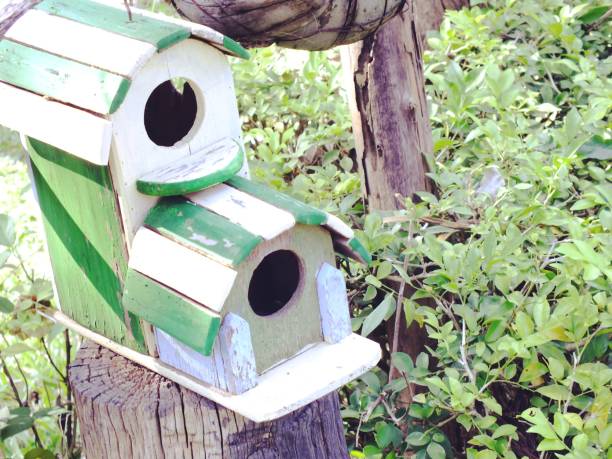 istock bird house with natural green leaves background 640056888