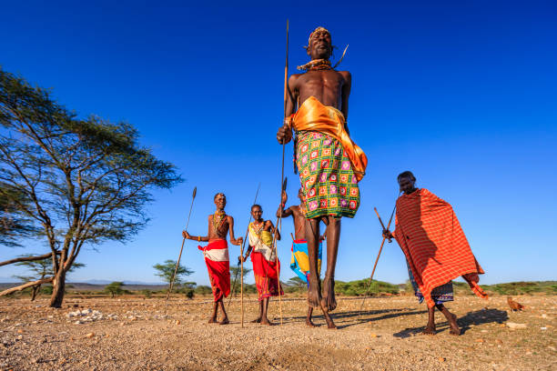 Warrior from Samburu tribe performing traditional jumping dance, Kenya, Africa African warrior from Samburu tribe performing a traditional jumping dance, central Kenya. Samburu tribe is one of the biggest tribes of north-central Kenya, and they are related to the Maasai. masai warrior stock pictures, royalty-free photos & images