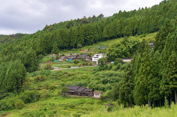 istock Japanese rural farm on mountain slopes 640061004