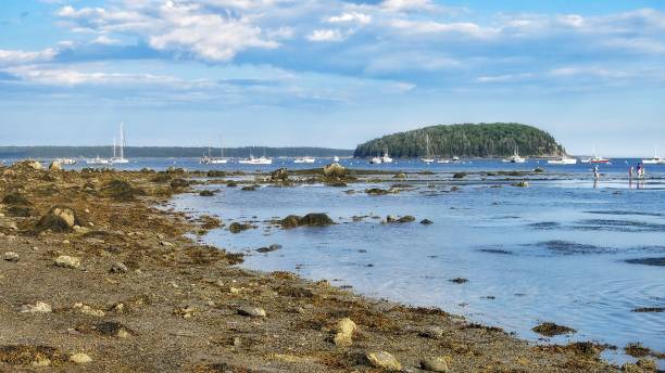 istock Maine Low Tide, Sailboats Parked, Rocky Tree Lined Coast 640061032
