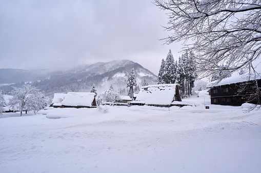 Gokayama Ainokura Village Japan. Japan in winter.