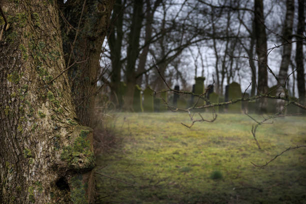 istock Jewish cemetary near Sande 640061390