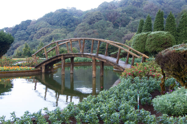 istock wooden bridge in the garden 640061500