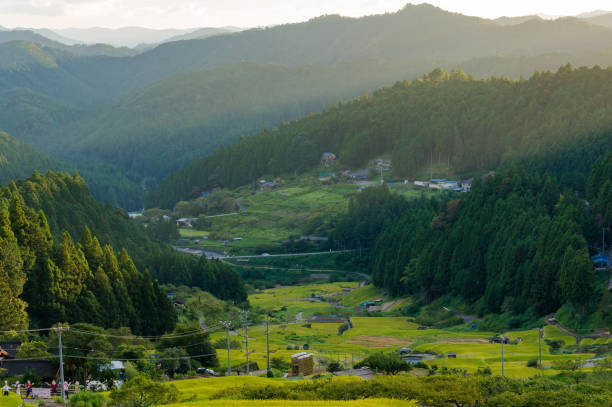 istock Sunset view with sun rays over countryside mountains, rice field 640061550