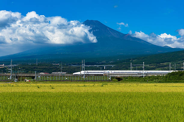 Bullet train, Shinkansen travel below Mt. Fuji in Japan Shizuoka Prefecture, Japan - September 3, 2016: Bullet train, Tokaido Shinkansen travels along bright ripe rice field, paddy with iconic Mount Fuji volcano on the background. Iconic Japan sightseeings bullet train mount fuji stock pictures, royalty-free photos & images