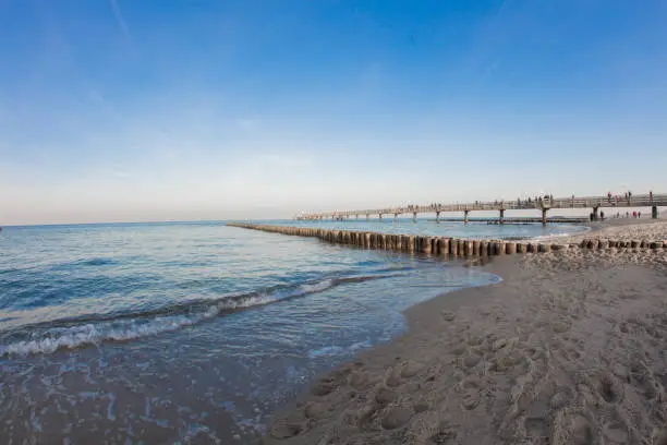 beach with roynes and the Pier of kuehlungsborn at the baltic sea  on a beautiful day with blue sky