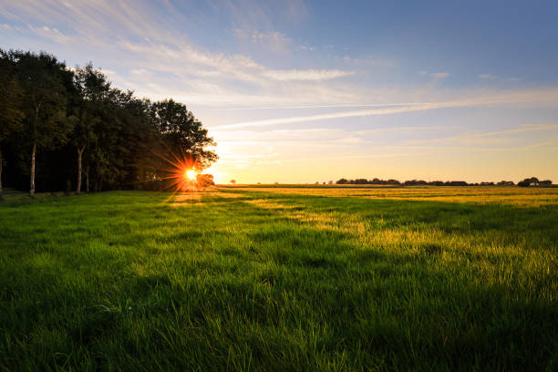 istock Sunset in Eastfrisia near Esens 640067328