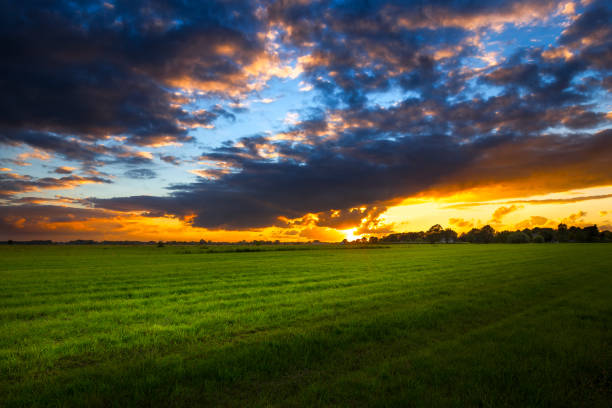 East Frisia or Eastern Friesland is a coastal region in the northwest of the German federal state of Lower Saxony. It is the middle section of Frisia between West Frisia in the Netherlands and North Frisia in Schleswig-Holstein. There are 465,000 people living in an area of 3,144.26 square kilometres.