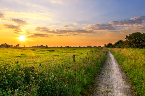 pôr do sol perto de funnix - friesland - fotografias e filmes do acervo