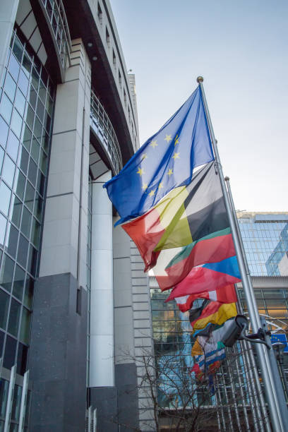 istock Flags with European Parliament 640070022