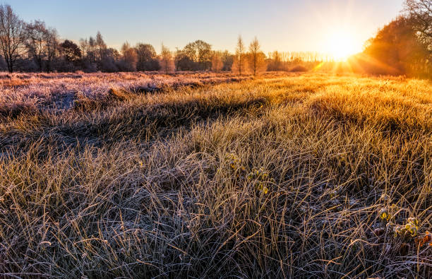 istock Frozen sunrise near Wiesmoor 640071700