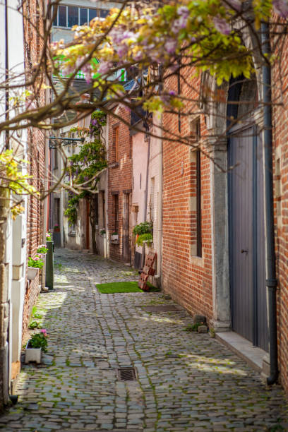 istock cobbled streets of Brussels 640071702