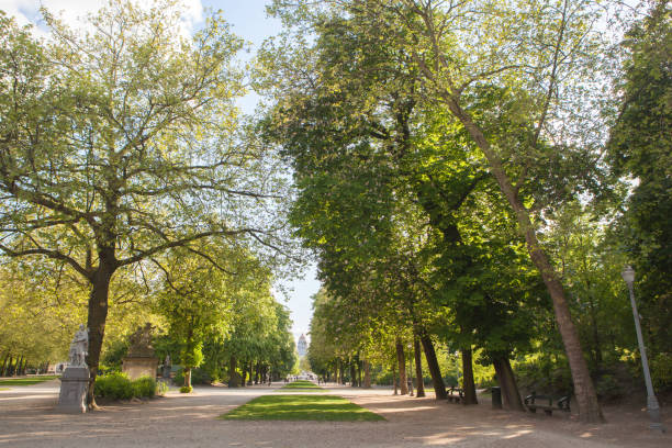 istock alley sorrounded by green park 640071964
