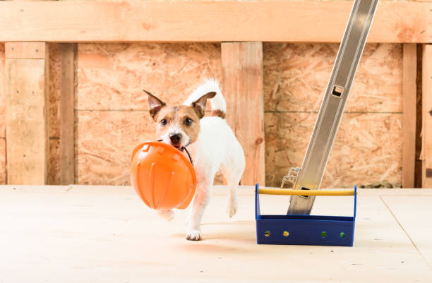 istock Humor concept of  safety precaution at construction site 640077296