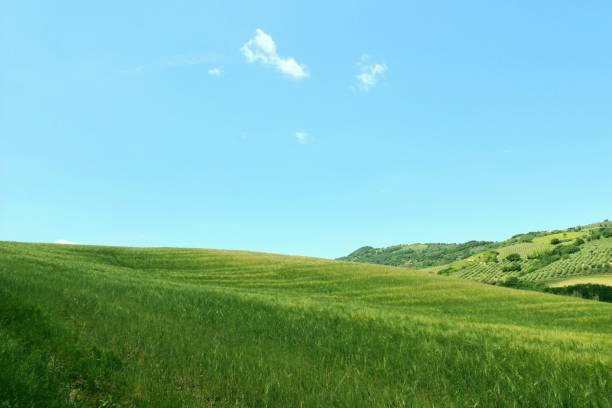 istock Italian countryside green hills 640079340