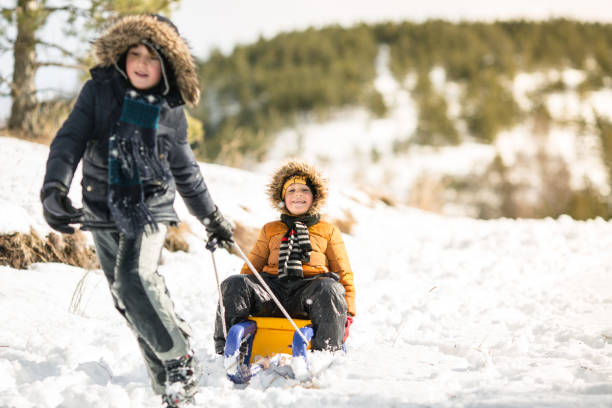 два брата, имеющие зимние развлечения скольжения на шоу - sibling sweden family smiling стоковые фото и изображения