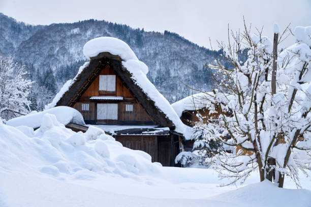 istock Shirakawa-go Village 640082044