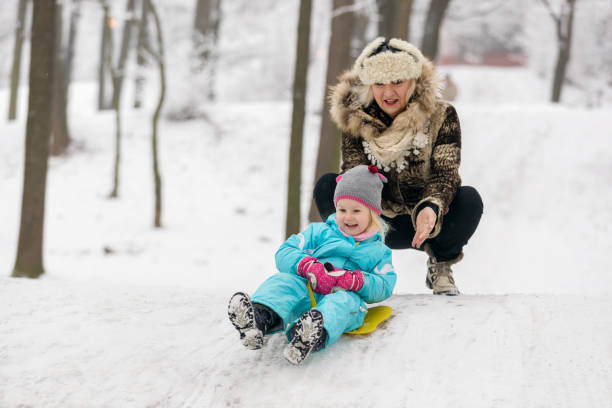 istock Three year old girl is pushed on a sled 640082492