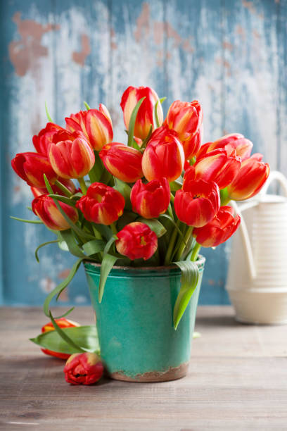 istock Beautiful tulips bouquet and garden tools on wooden table 640083818