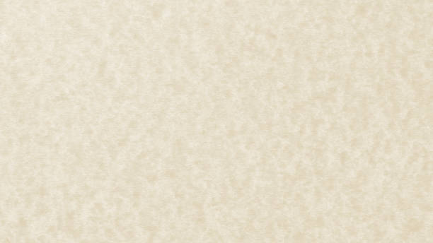 istock Texture of old parchment paper 640085998