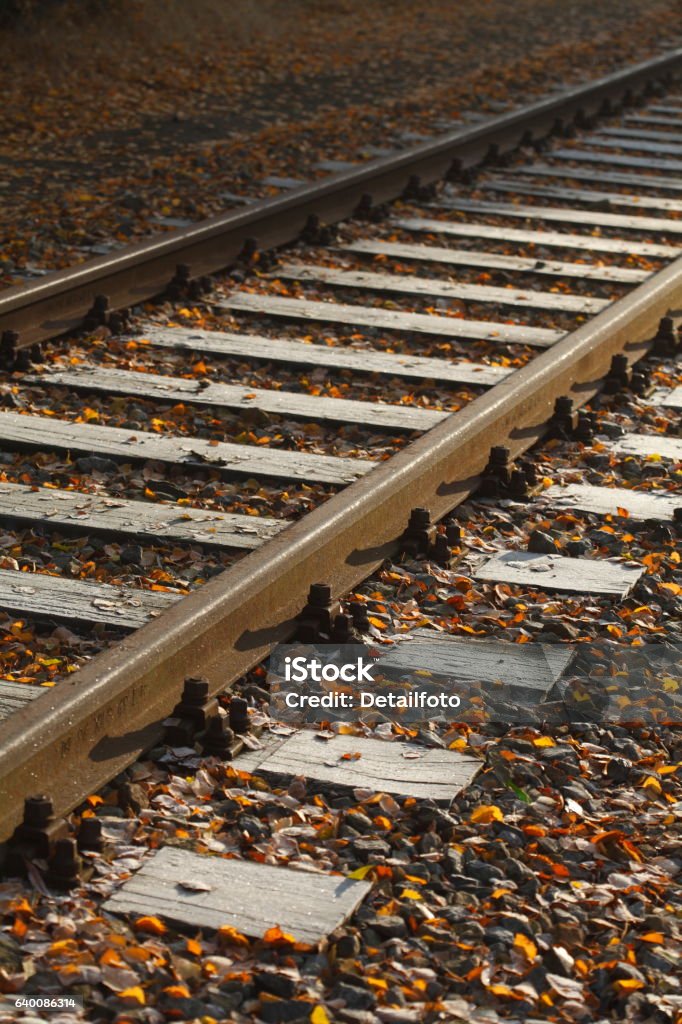 rails covered with hoarfrost, railway sleepers Railway tracks covered with hoarfrost, railway sleepers Autumn Stock Photo
