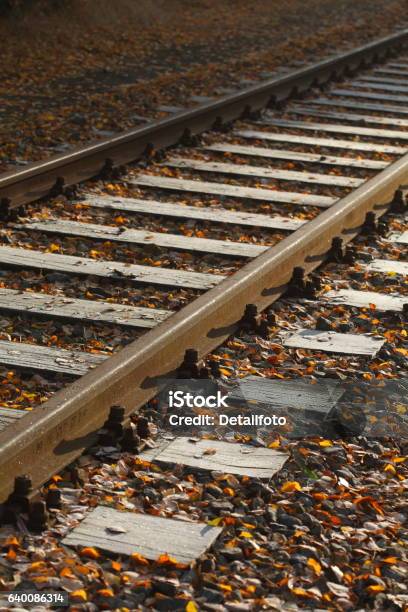 Rails Covered With Hoarfrost Railway Sleepers Stock Photo - Download Image Now - Autumn, Autumn Leaf Color, Back