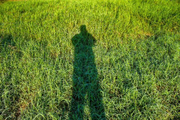 istock Silhouette of photographer 640086758