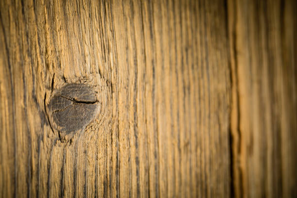 wood texture background