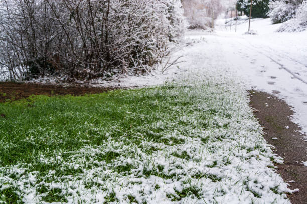 istock Grass on roadside partially covered by snow - Horizontal 640092114