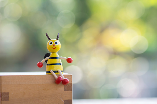 Bee doll seats on wooden ,background bokeh