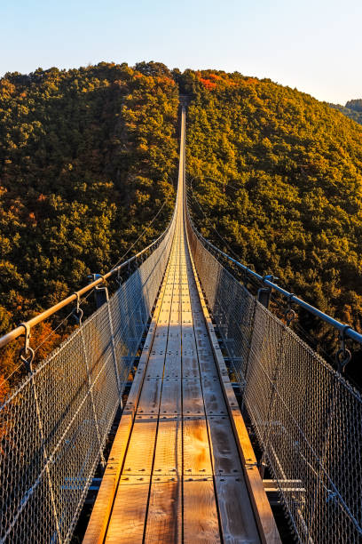 istock Hanging rope bridge Geierlay 640094164
