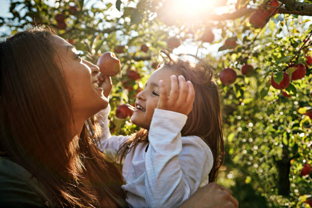 Young mother with her child picking apples from the apple tree on summer day. Primorska, Slovenia, Europe.