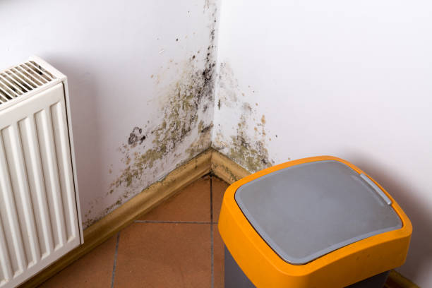 istock Mold and fungus problem near heater hanging on the corner. 640095772
