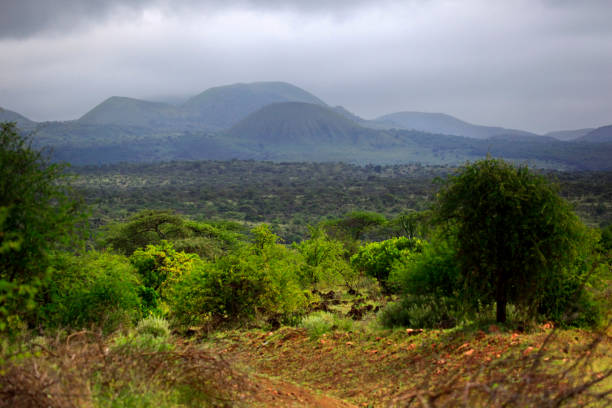 istock Park Tsavo East National 640097420