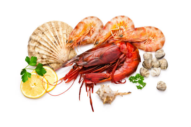 istock Seafood: clam, scallop, prawn and shrimps 640098644