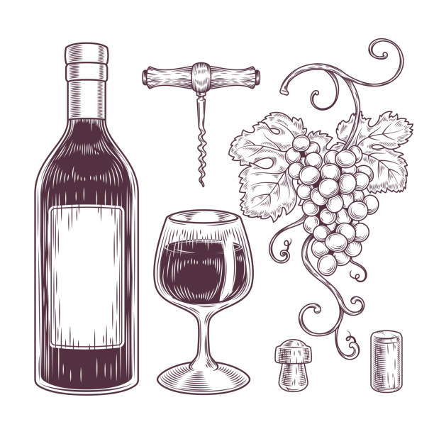 ilustrações de stock, clip art, desenhos animados e ícones de vector collection of wine icons - silhouette wine retro revival wine bottle