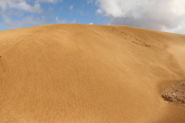 Desert, Western Sahara stock photo