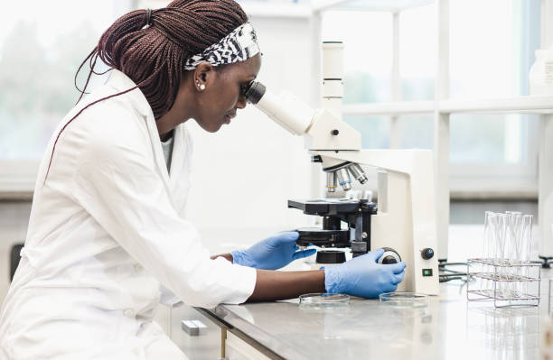顕微鏡を調える科学者 - technician scientist doctor female ストックフォトと画像