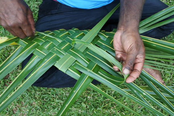 istock Fijian men create a basket from weaving Coconut Palm leaves 640100064