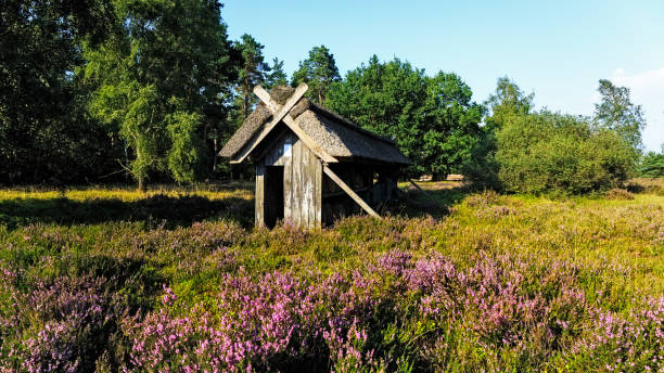 istock Bee hive in the Luneburg heath 640100916