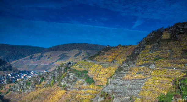 vineyard by mayschoss - trockenmauer imagens e fotografias de stock