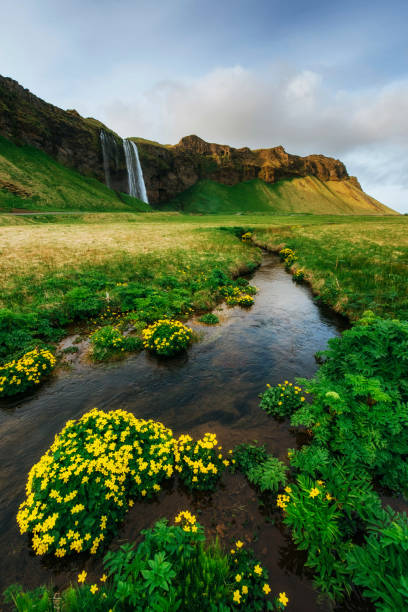 istock Seljalandfoss waterfall. Beautiful summer sunny day. Iceland. 640102544