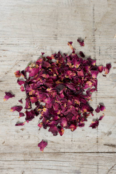 istock Decorative rose petals on white wood 640104264