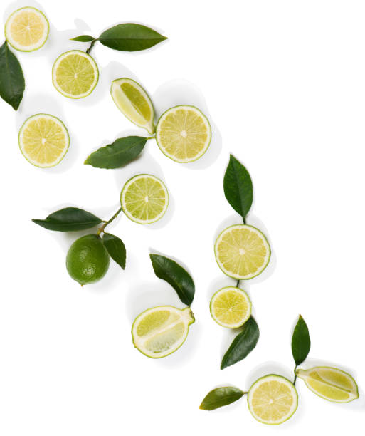 istock Lime fruits and green leaves. 640104754