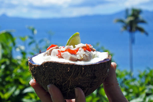 Fijian Food Kokoda  against Tropical Island landscape Fijian Food, Kokoda (Raw Fish Salad) against Tropical Island landscape. Kokoda is Fiji's version of ceviche, enriched with coconut milk to balance out all the acid. fiji photos stock pictures, royalty-free photos & images
