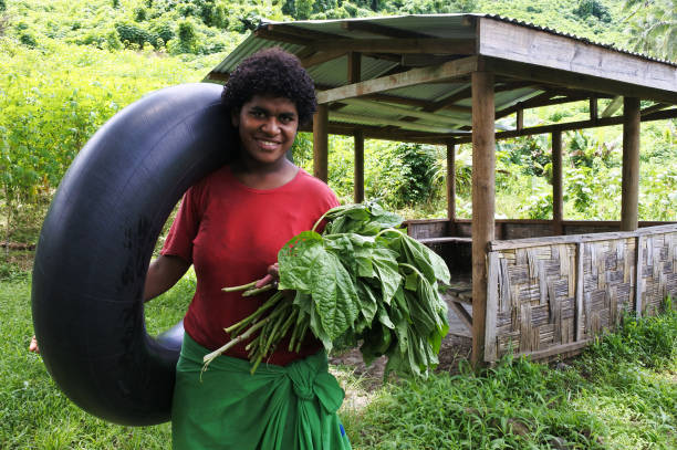 Indigenous Fijian woman in Fiji stock photo